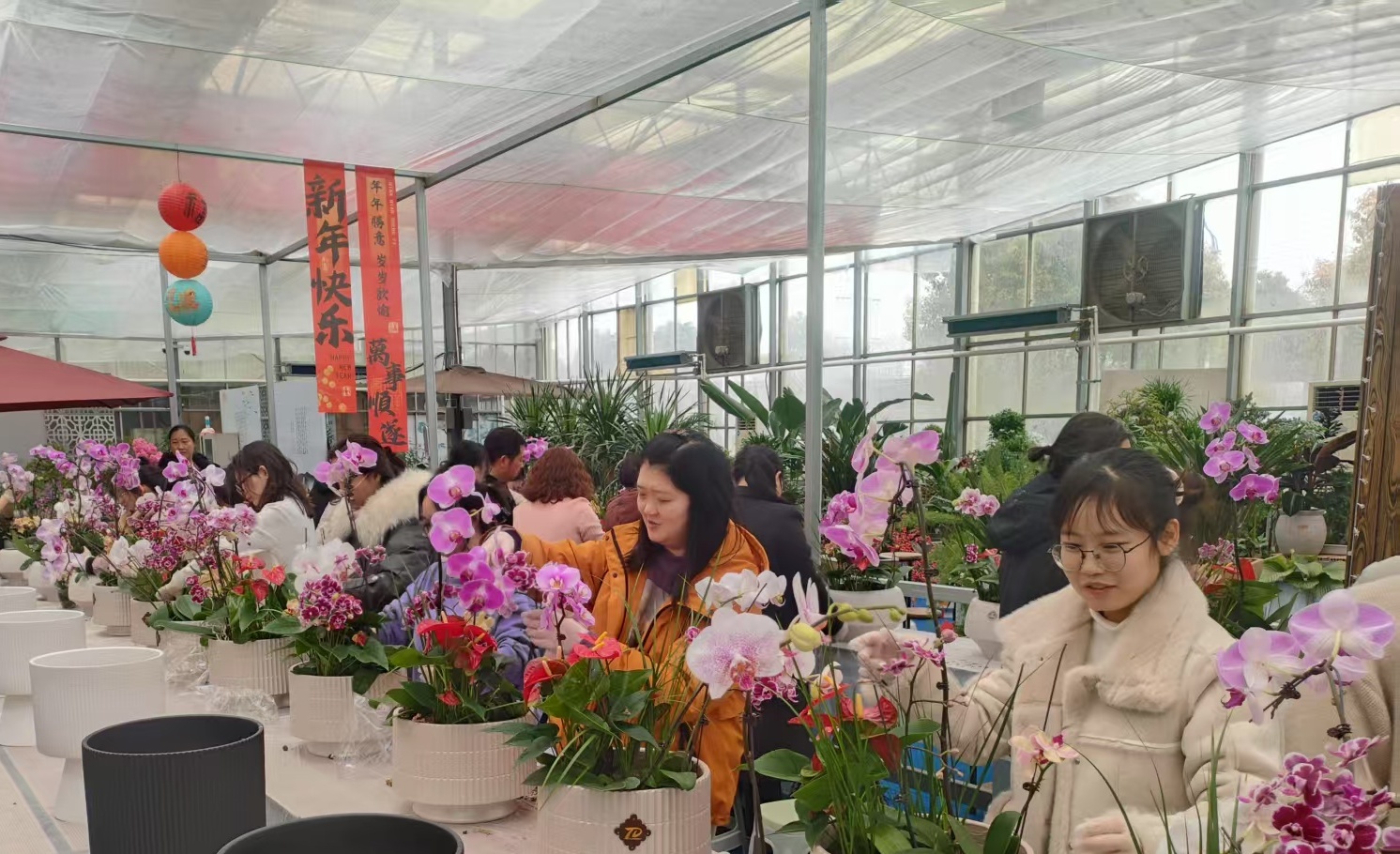 1741590693369 插花_副本